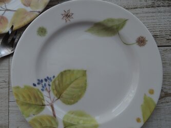 木の葉のお皿2枚　１ セットの画像