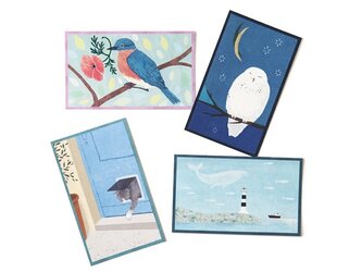 COLOR CARDS BOX　ミニカードセット Blueの画像