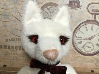 白いキツネさんの画像