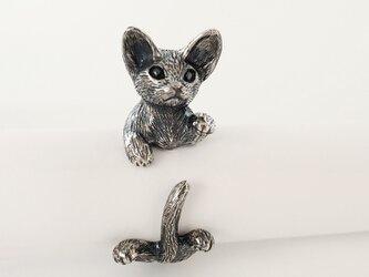 デボンレックス 猫リング