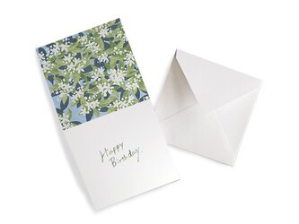 HEY DAY -Happy birthday- メッセージカード　ミカンの画像