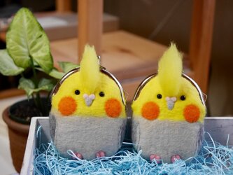 ぷっくらシナモンオカメインコのがま口 259の画像