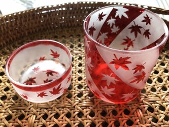 modern 紅葉グラス&おつまみいれセットの画像