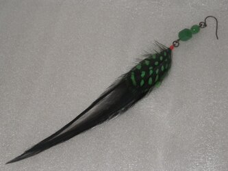 ほろほろ鳥の羽根ピアスの画像