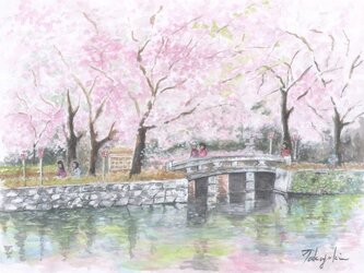春爛漫『原画』の画像