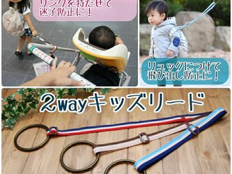 迷子・はぐれ防止に！２ｗａｙキッズリードの画像