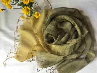 再出品【ダイヤーズカモミール染め】シルクボーダー柄ストール　グラデーション染め　の画像