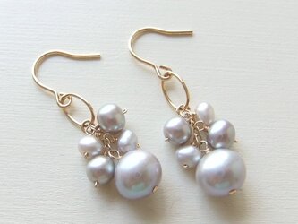 グレー淡水パール×オーバルピアス(14kgf)の画像