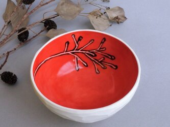 小鉢 red small bowl (plants) 小の画像