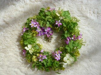 ナチュラルリース～春の野原２～の画像