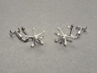 Seeds earring Silver925の画像