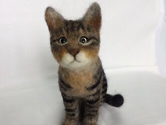 受注制作 羊毛フェルト猫の画像
