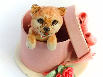 豆しば　in the box!の画像