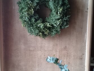 フレッシュグリーンのクリスマスリースの画像