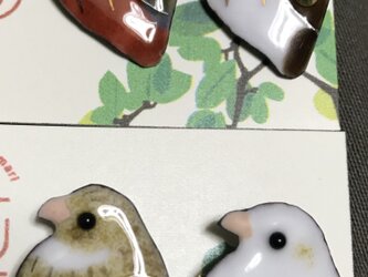 受注製七宝  姫うずらブローチの画像