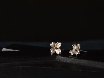 hanamizuki earringsの画像