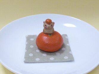 みかん乗りにゃんの画像