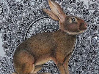 最新作 原画 肉筆 一点もの ボールペンアート 額装付き 百貨店作家 ボールペン画 絵画 野うさぎ 野ウサギ うさぎ ウサギの画像