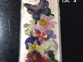 瑠璃蝶が止まるiPhonecaseの画像