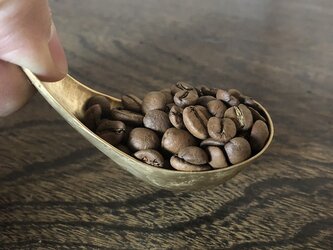 【受注生産】真鍮のコーヒーメジャースプーンの画像