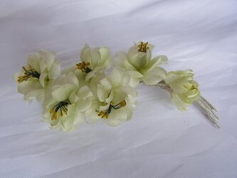 淡い黄緑色の桜コサージュの画像