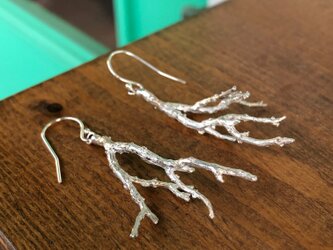 Sea Bush Pirce "珊瑚モチーフが耳元で揺れるピアス"の画像