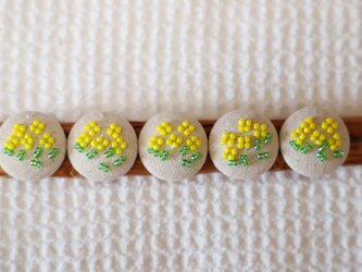 クルミボタン～季節の花シリーズ＜春・菜の花＞の画像