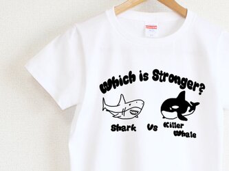 サメとシャチはどっちが強いの？Ｔシャツ　レディースタイプの画像