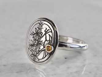 Birthstone initial ring [R059SV]の画像
