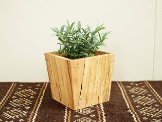 木製 鉢カバー 樫材　3号鉢用　植木鉢カバー スポルテッドの画像