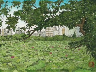 夏の不忍池・弐の画像