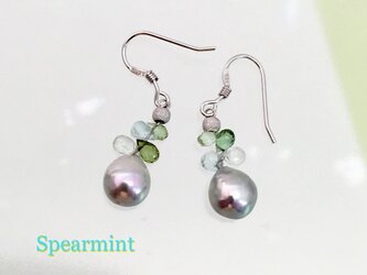 Spearmint（スペアミント）の画像