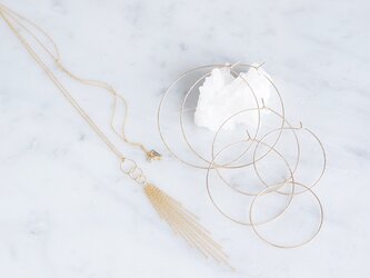 【14KGF】Linked Circle,Chain Tassel Long Necklaceの画像