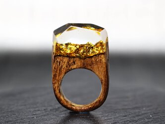 【送料無料】Modern Gold ～Resin Wood Ring～の画像