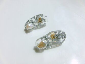 'potari'の画像