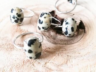Dalmatian Jasper ringの画像