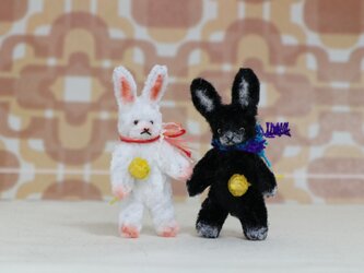 黒いウサギと白いウサギの画像