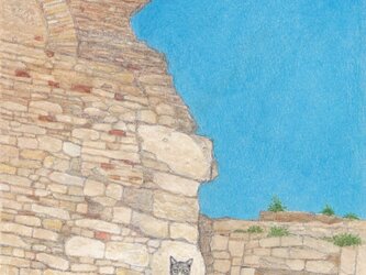 アルルの猫の画像