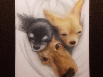 ペット 肖像画 似顔絵 色鉛筆画 パステル イラスト オーダーメイドの画像