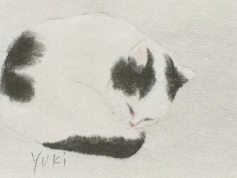猫の絵の画像