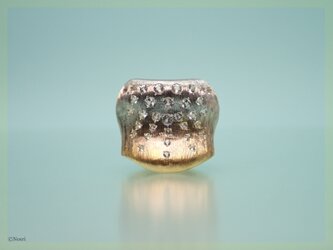 スムース シャイニー リング（Smooth Shiny Gradation Ring)の画像