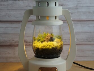 Terrarium Lantern [Antique White]の画像