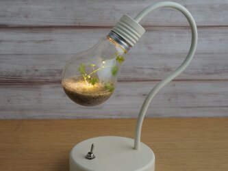 bulb terrarium mini [white]の画像