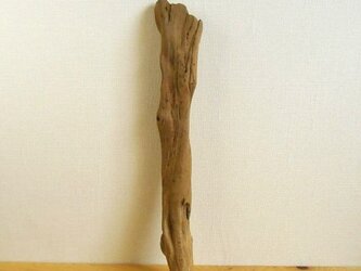 【温泉流木】赤茶系の重くどっしりした流木棒 インテリア素材 木材の画像