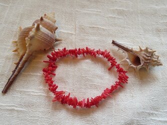 紅珊瑚のブレスレット(送料無料)の画像