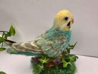 受注制作☆羊毛フェルトのセキセイインコ パステルレインボーの画像