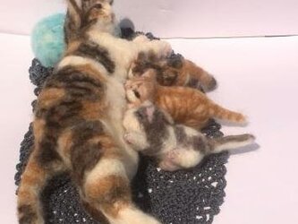 受注制作 授乳しているパステル三毛猫さんの画像