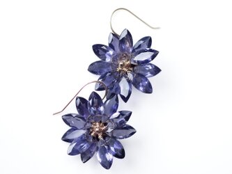 K10アイオライトの花びらによるヤグルマギクのピアス　～Cornflowerの画像