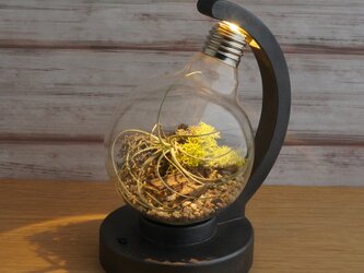 bulb terrarium ball [cast iron]の画像