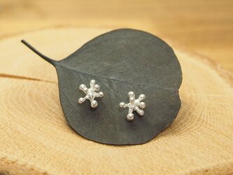 ちいさなつぶ花のピアス　SP24の画像